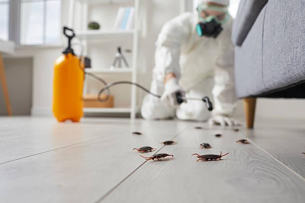 Trusted Termite Control service in Columbus Grove, OH - Nex Pest Control