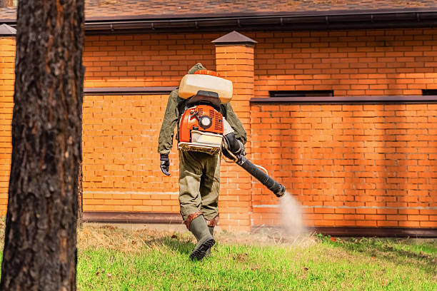 Trusted Rodent Control service in Columbus Grove, OH - Nex Pest Control